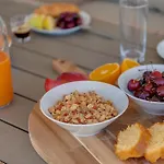 Syraki فيلة