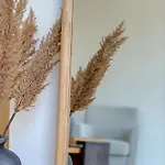 Syraki فيلة *